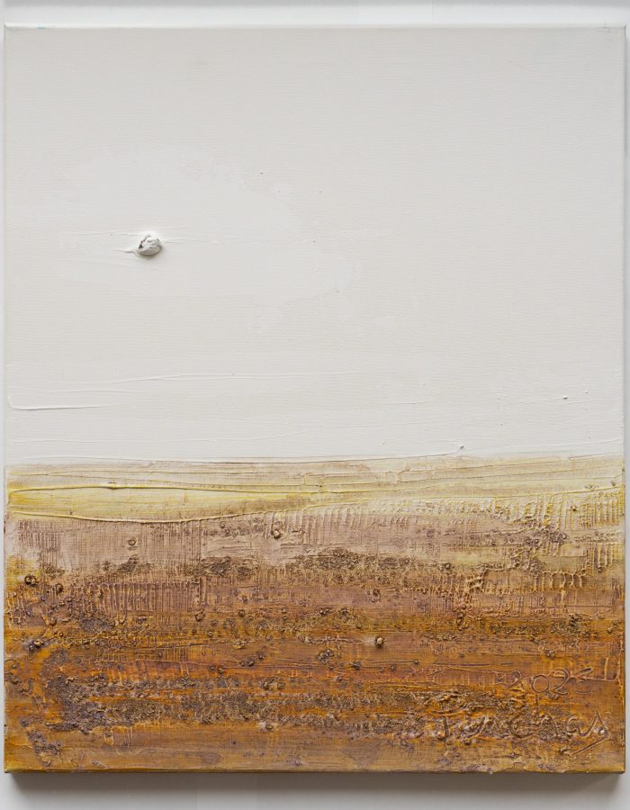 Painting made by Artist-At-Sea Pablo Penchaszadeh on board R/V Falkor (too). .

CREDIT: Misha Vallejo Prut / Schmidt Ocean Institute