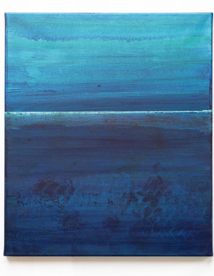 Painting made by Artist-At-Sea Pablo Penchaszadeh on board R/V Falkor (too). .

CREDIT: Misha Vallejo Prut / Schmidt Ocean Institute